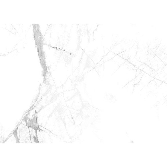 Small Tile Calacatta Snow 300mm x 600mm